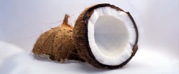 coconut  jpg