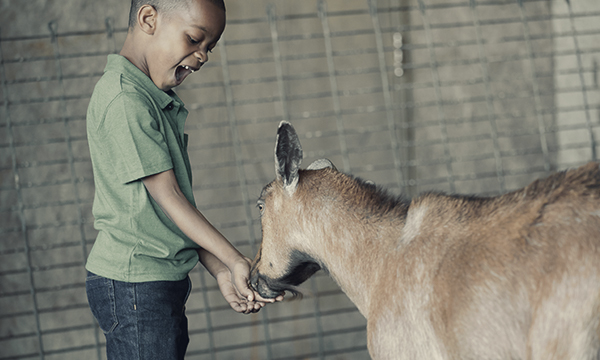 toddlergifts UPDATE jpg