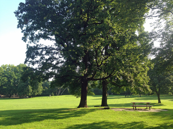 Parks in Köln: Volksgarten-Südstadt