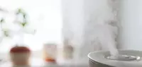 humidifier-guide