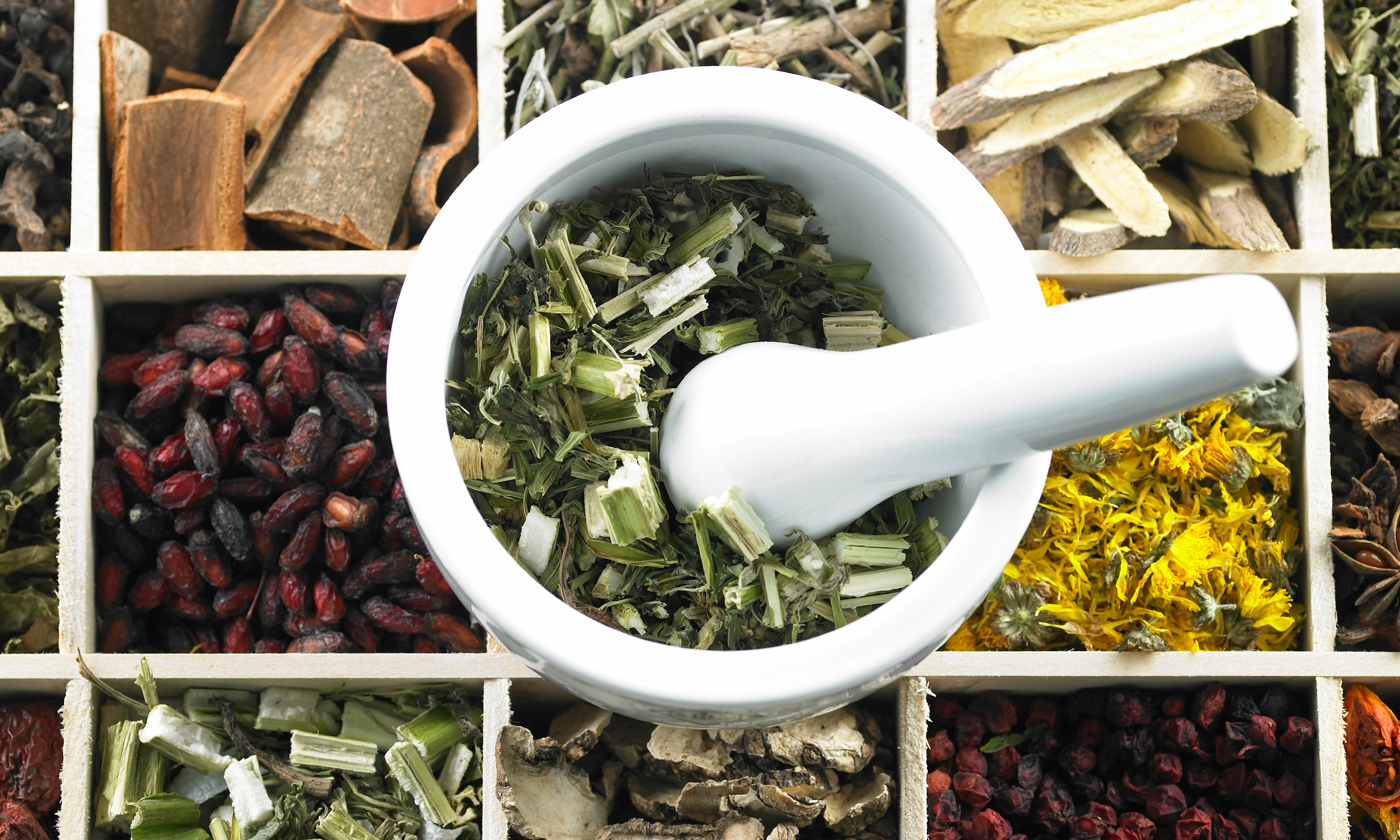 Rimedi naturali, come curarsi senza medicine e con l'uso delle erbe