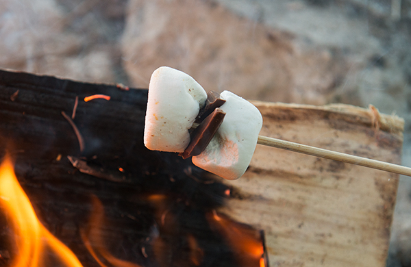 Roasted Marshmallows Can Do So Much Better Than S'mores