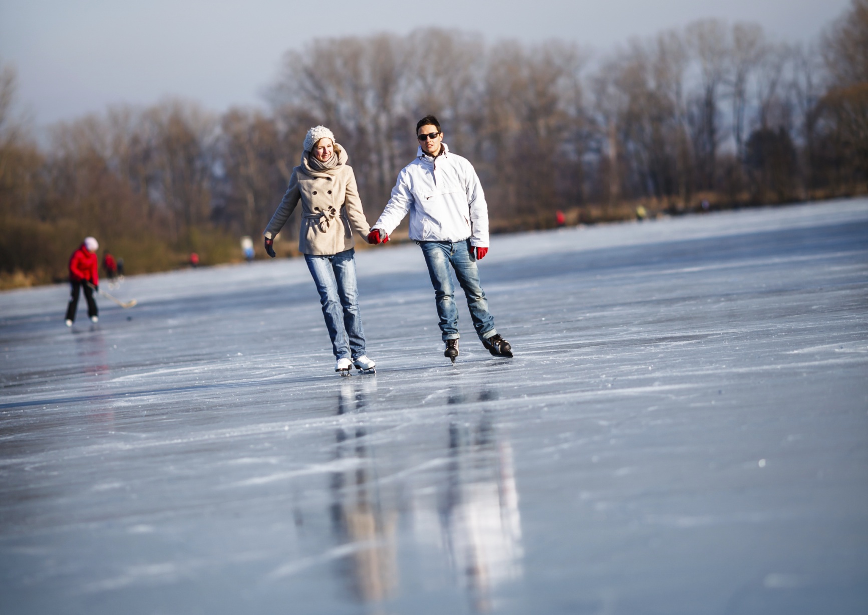 Anaheim Ice Skating Deals In Anaheim Ca Groupon