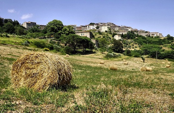 Tutti gli eventi e le sagre di settembre in Toscana