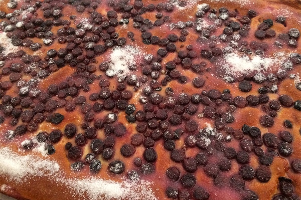 schiacciata con uva