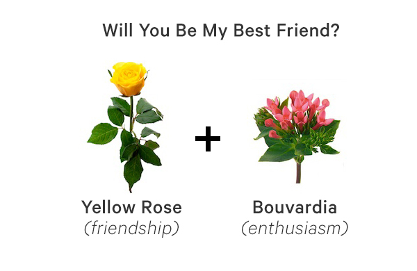 flowers that mean friendship