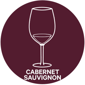 Cabernet sauvignon style wine glass