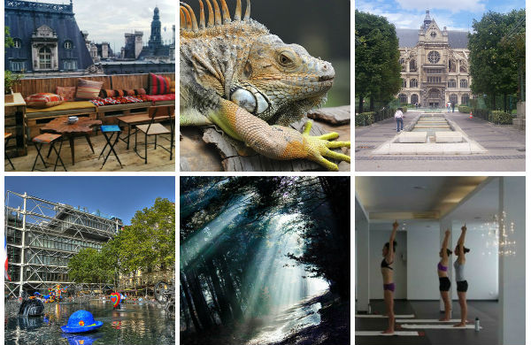 Top 15 des choses à faire à Paris selon nos blogueurs