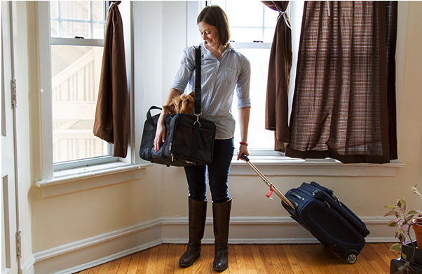 Tips for Traveling with Your Dog at 30,000 Feet