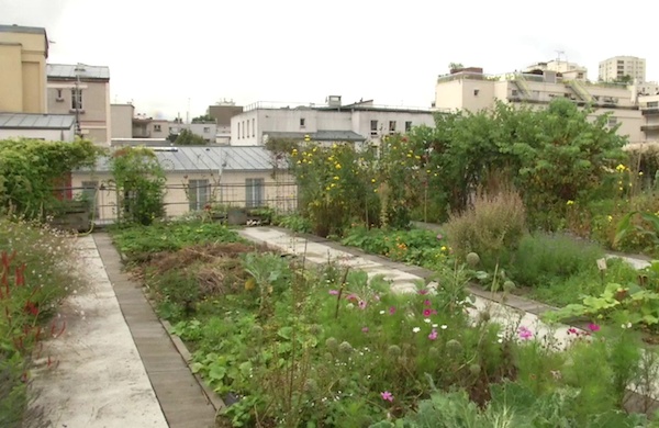 Les potagers de Paris ou comment se faire la main verte entre métro et bitume
