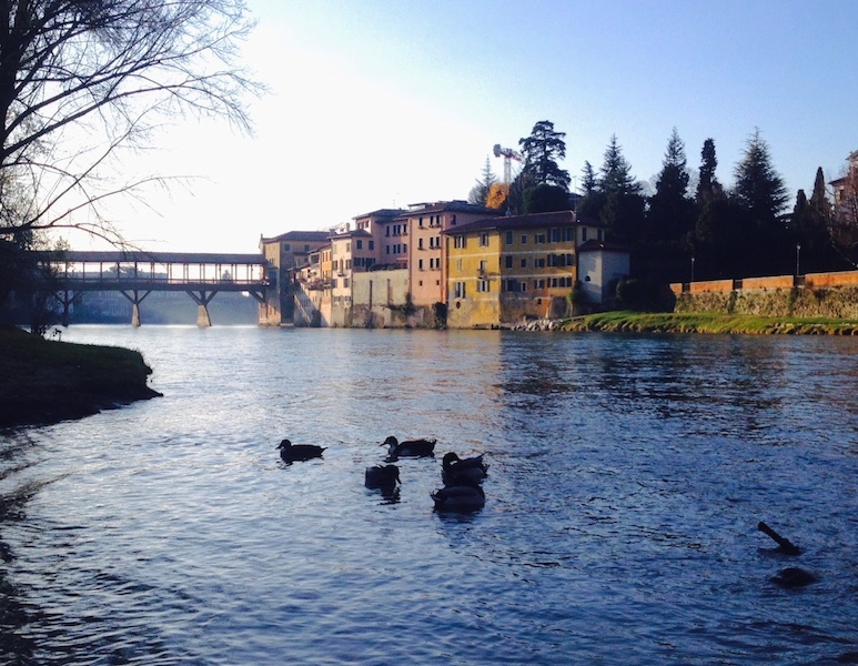 Il sentiero del Brenta di Bassano: la natura a due passi dal Ponte