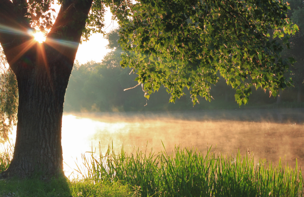 The Best Glasgow Parks for Summer Sunbathing