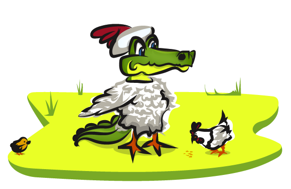 The Alligator, the Chicken of the Swamp