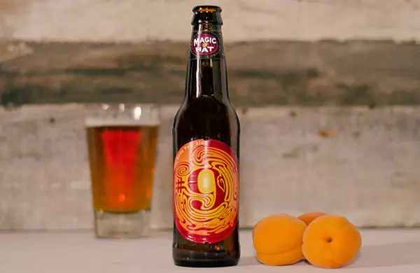 10-beer-styles-10-foods-to-pair-with-them_Magic-Hat-No-9_600c390