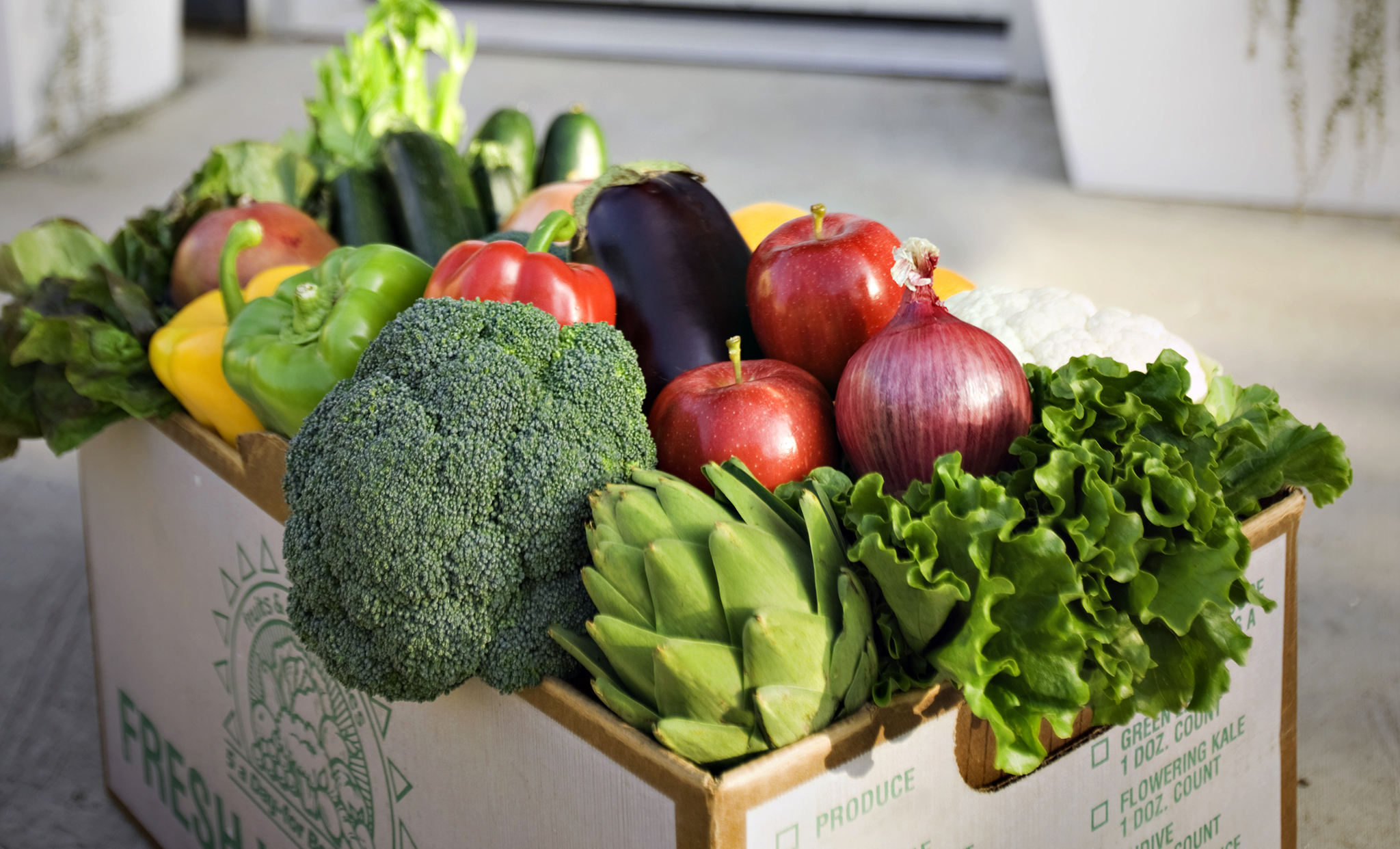 5 ristoranti vegetariani da provare a Bologna