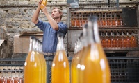 Man inspecting cider bottle