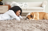 Woman and bulldog enjoying the shared joy of a beautifully cleaned carpet