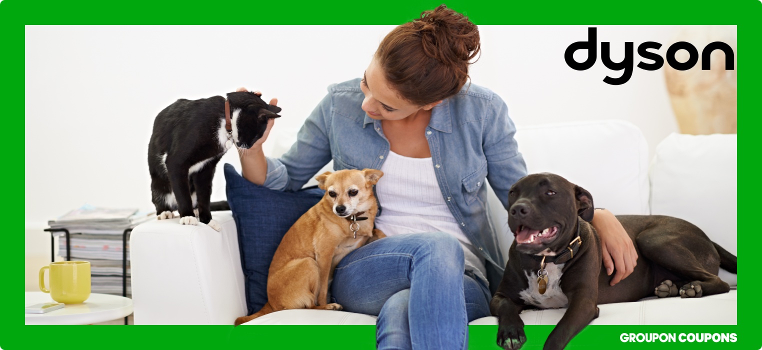 5 Best Dyson Vacuums for Pets 