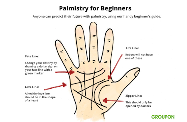 Palm Reading for Beginners: How to Read Palm Lines