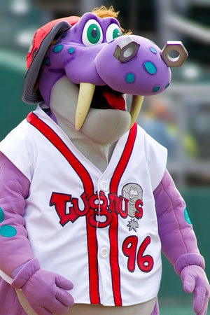 Minor league baseball team gets mascots: Chompers, Chew Chew, Lifestyles