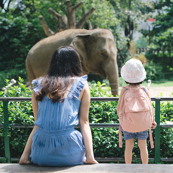 mom and kid at zoo looking at elephants