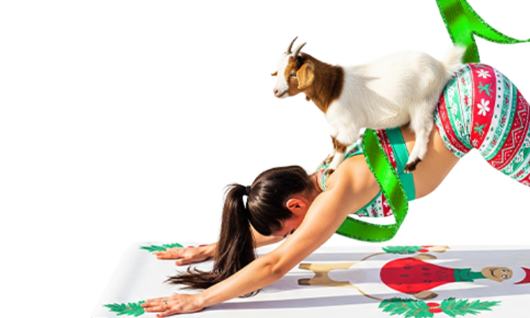 White Elephant Christmas Gifts