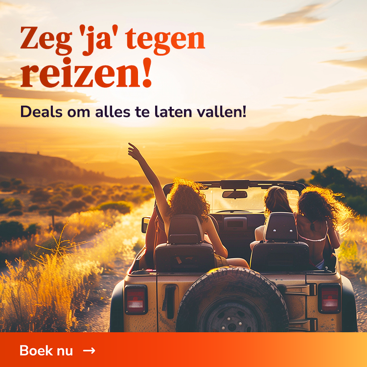 /landing/reis-met-groupon