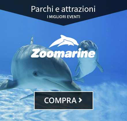 https://www.groupon.it/deals/gl-zoomarine-12