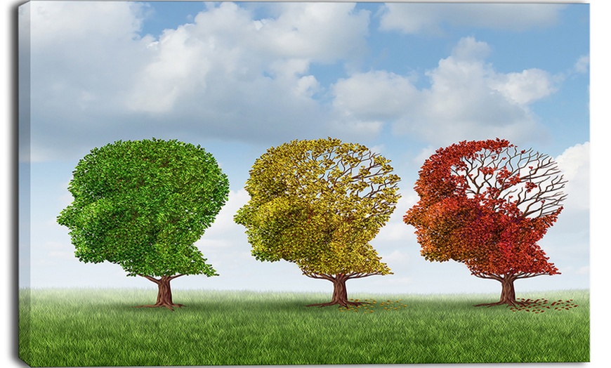 Up To 47% Off on Brain Aging - Digital Canvas ... | Groupon Goods