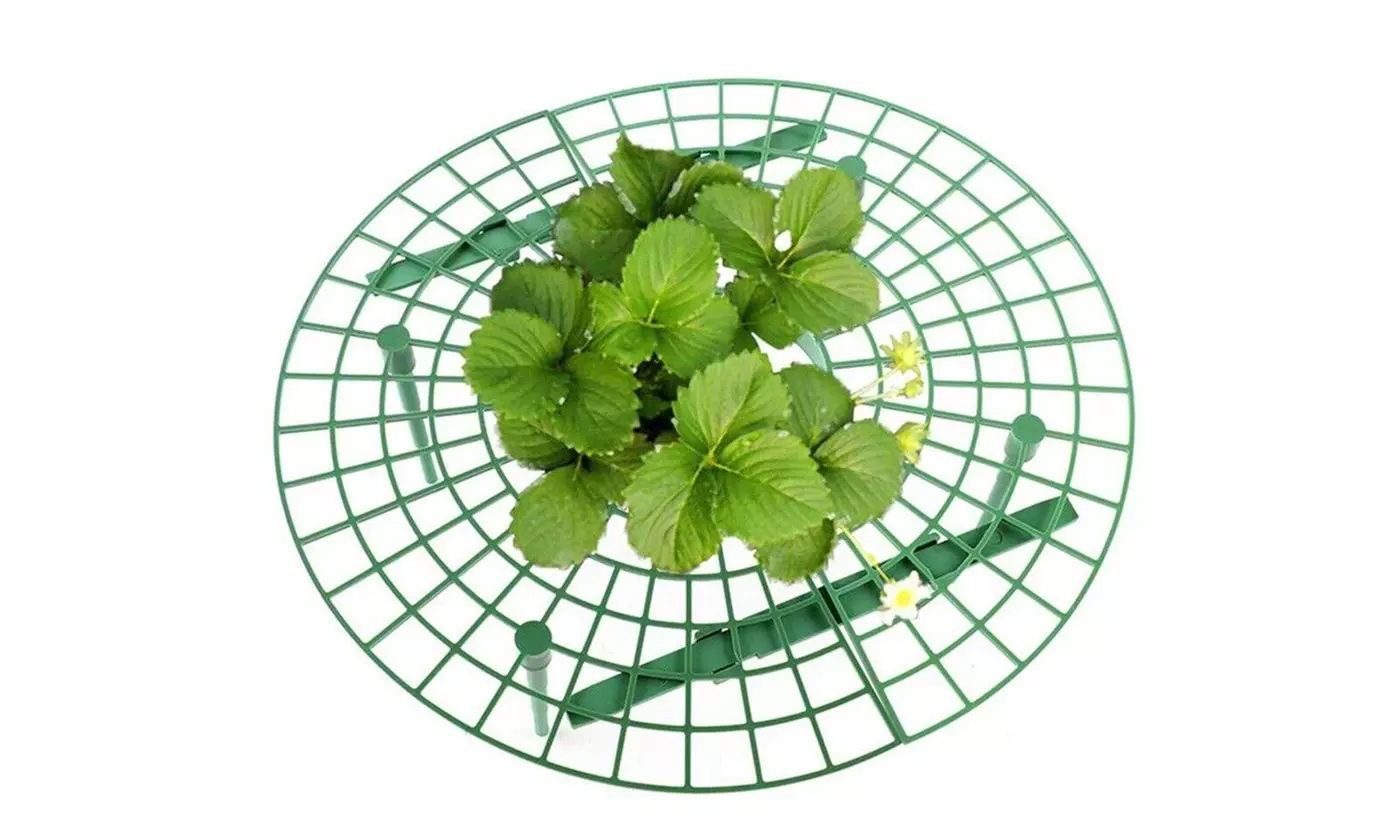 Strawberry Stand Frame Holder Balcony Planting Rack Fruit Support Adjustable