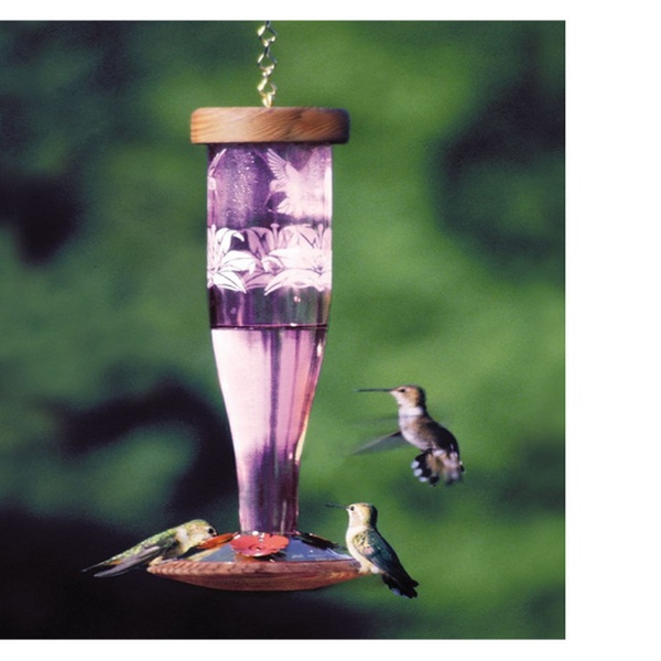 Schrodt Designs Model Hbl P A Amethyst Hummingbird Paradise Feeder