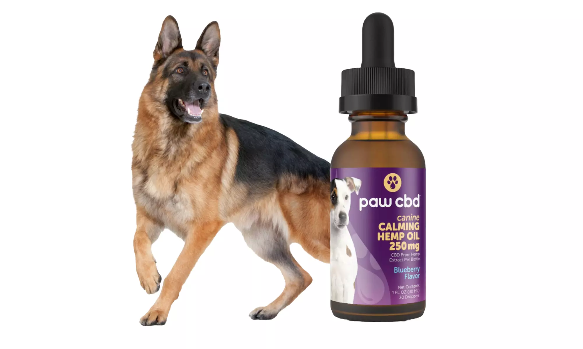 Calming CBD Dog Oil Tincture Blueberry with Melatonin - 250MG from cbdMD