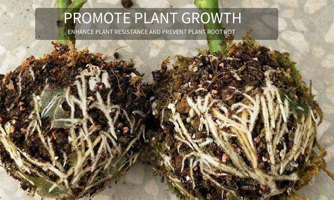 3 Pack High Pressure Plant Rooting Device Growing Ball Box