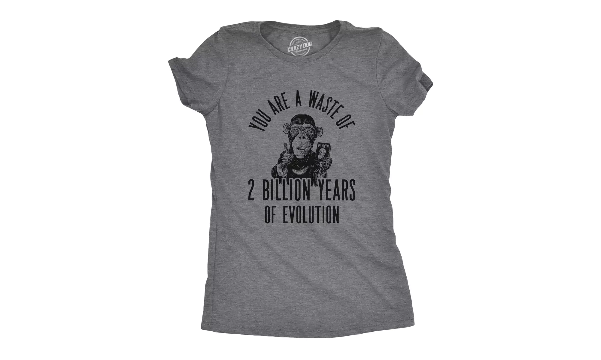 Womens You Are A Waste Of 2 Billion Years Of Evolution Tshirt Funny Insult Chimp - Primary Image