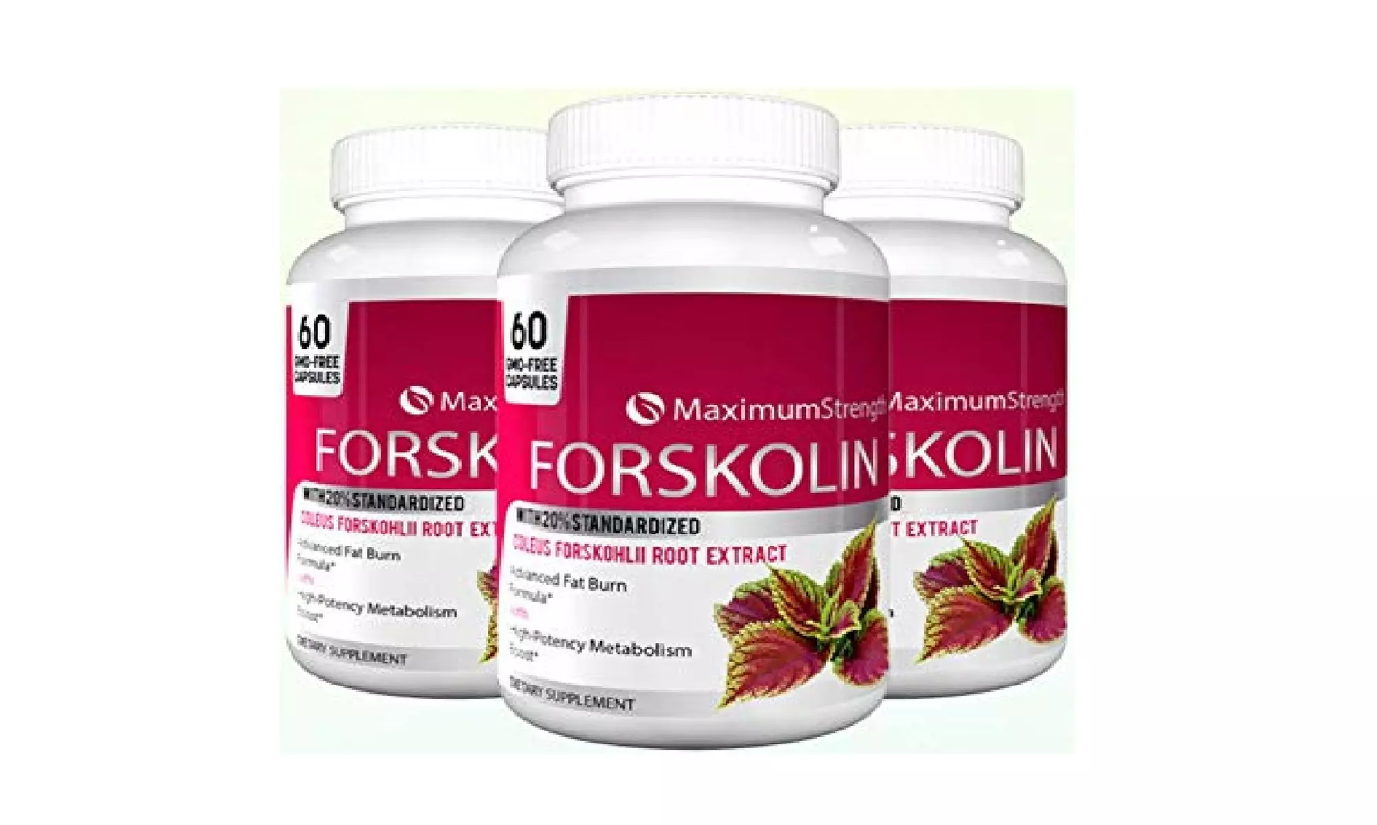 Nature's Branch Ultra Pure Forskolin Extract for Weight Loss MA - Primary Image
