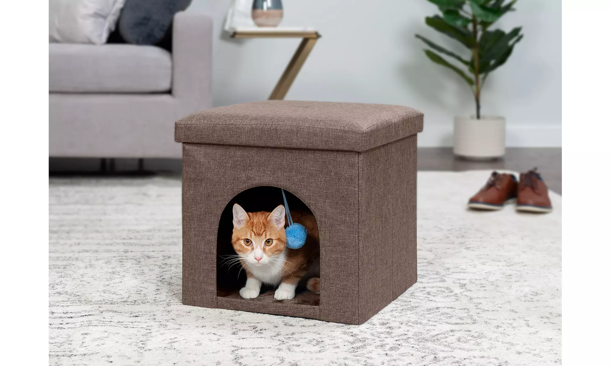 Cat & Small Dog House Footstool Ottoman  - Primary Image