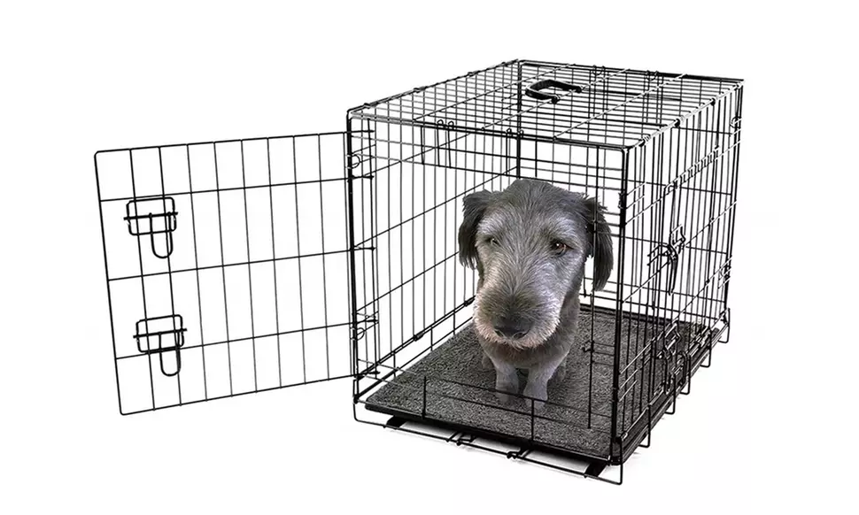 Scoochie Poochie Dog Bed & Crate Pad
