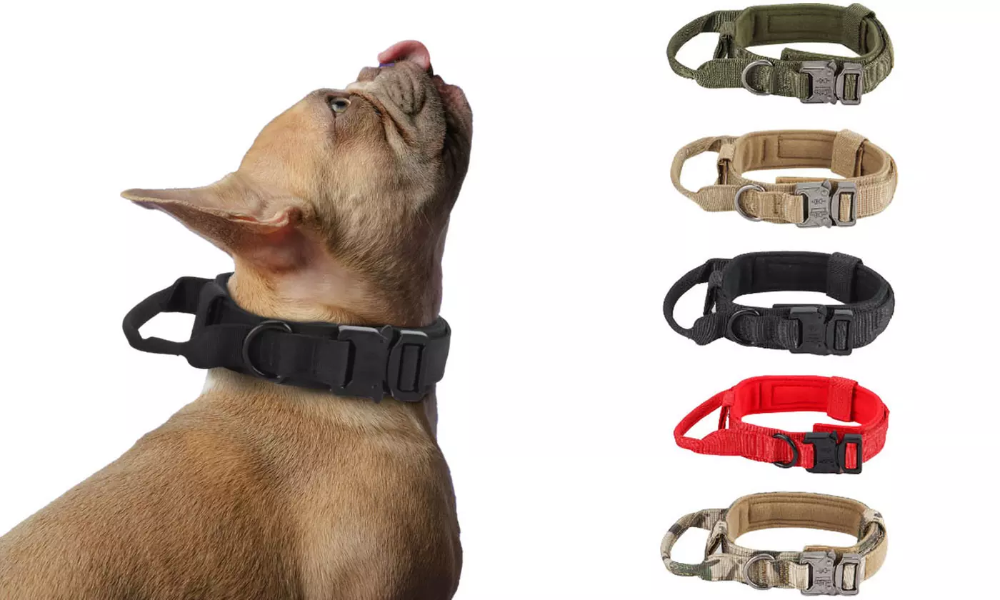 Tactical Military Nylon Adjustable Dog Collar with Heavy Duty Metal Buckle - Primary Image