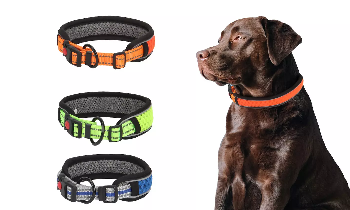 Dog Collars Adjustable Padded Soft Nylon Comfy Neck for Small Medium Large Dogs - Primary Image