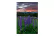 Michael Blanchette Photography 'Fire in the Sky' Canvas Art - Second Medium
