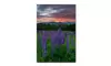 Michael Blanchette Photography 'Fire in the Sky' Canvas Art