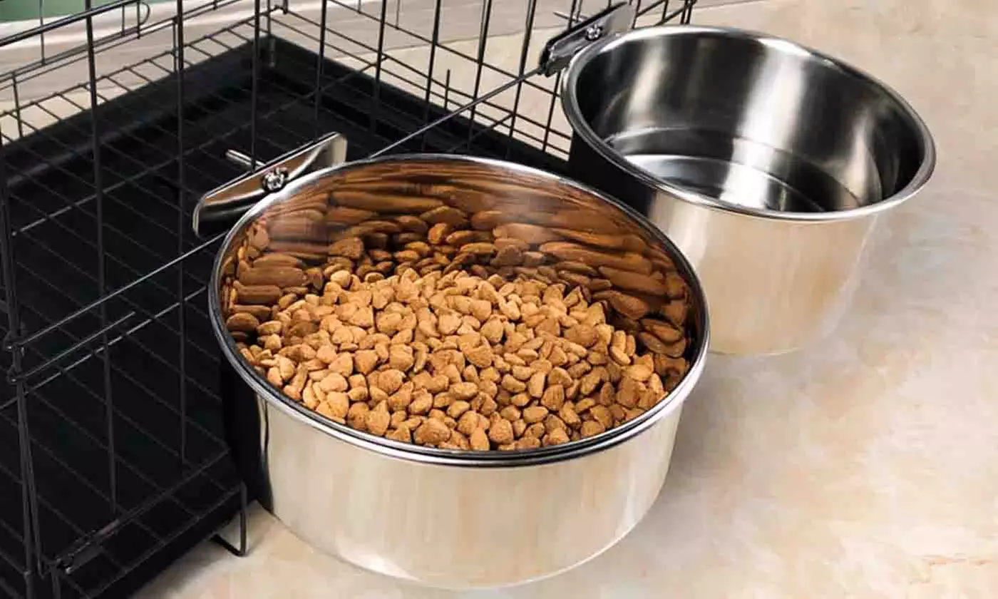 iMounTEK Stainless Steel Hanging Dog Food and Water Crate Bowl for Kennel Cages