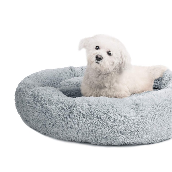 medium size dog bed