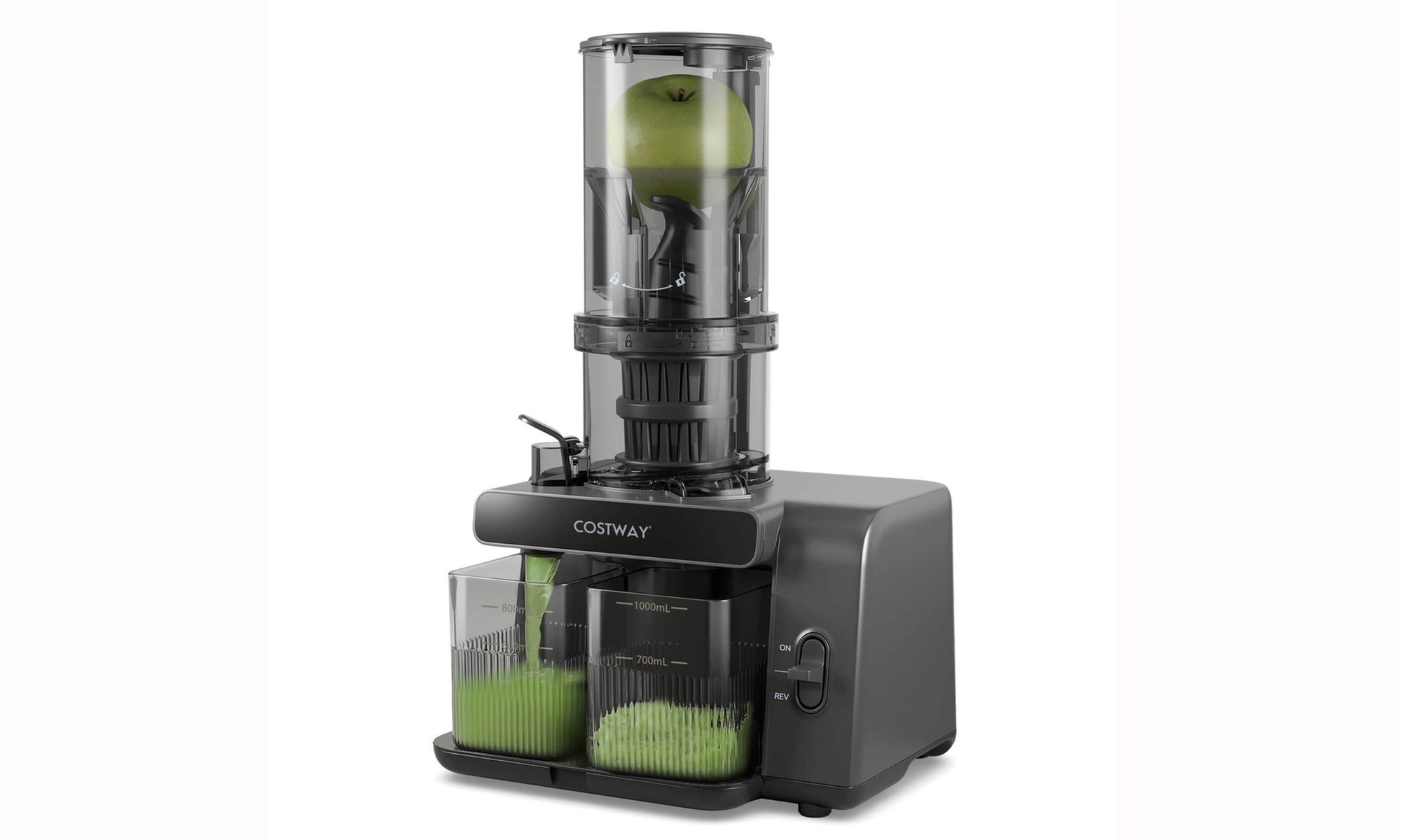 Costway Cold Press Juicer Machine Professional Slow Masticating Juicer