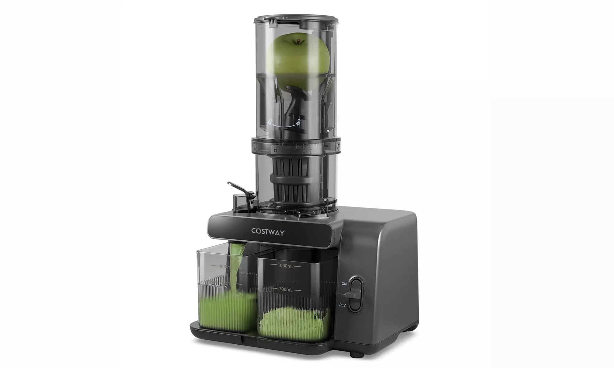 Costway Cold Press Juicer Machine Professional Slow Masticating Juicer