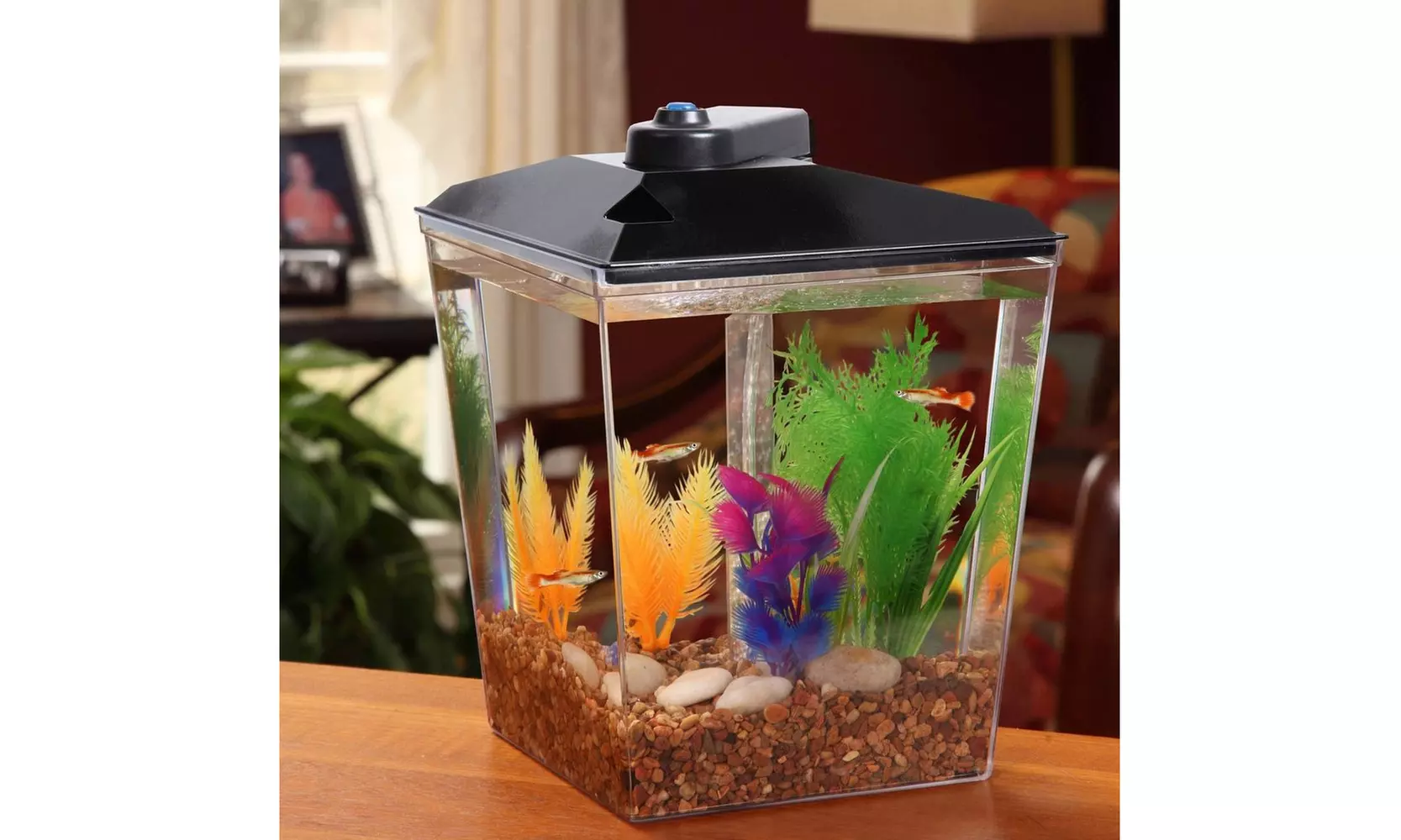 1 Gallon Corner Aquarium Starter Kit with LED Light and Power Filter - Second Medium