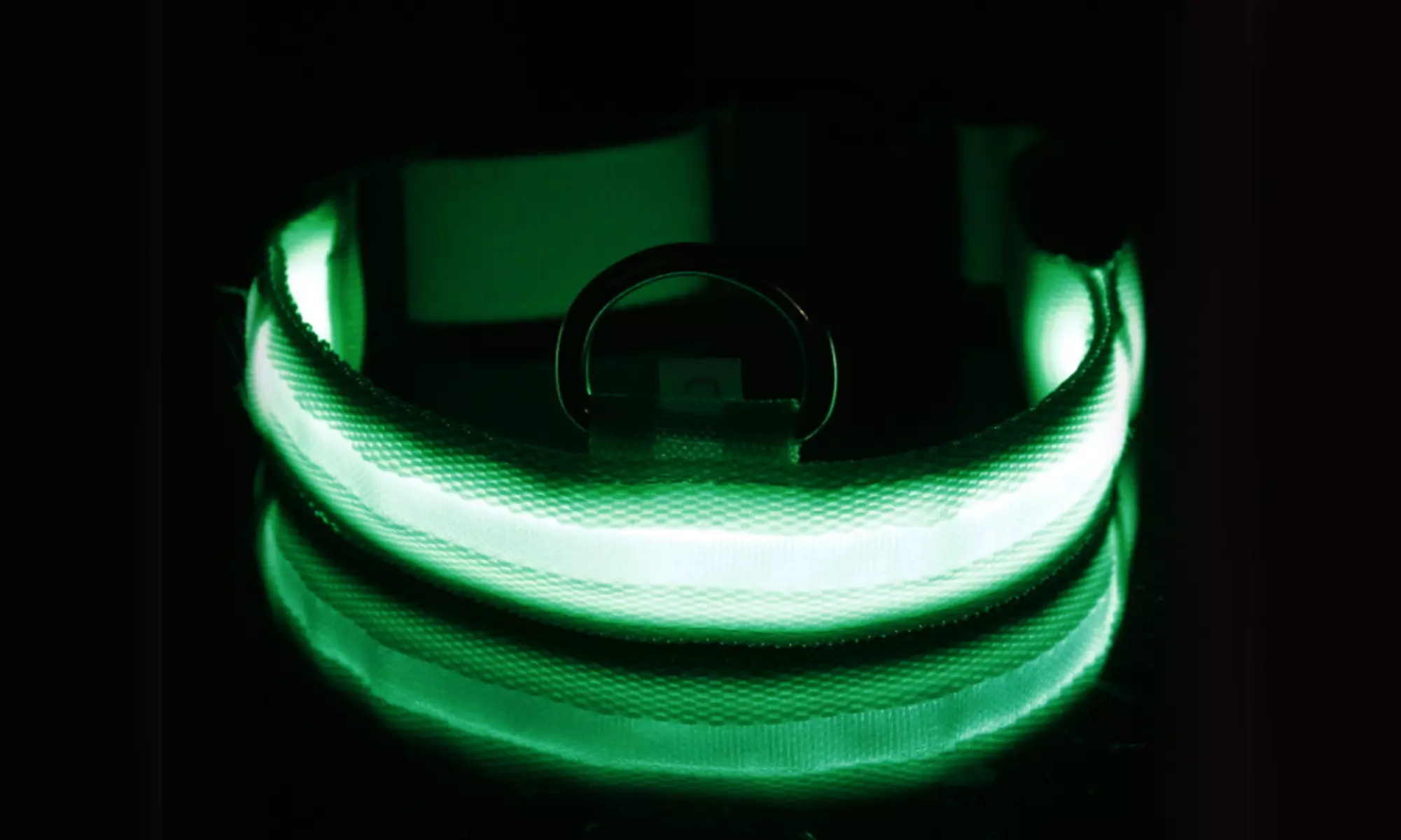 SAFETY LED Dog Pet Light Up Collar Night Glow Adjustable Bright 5 Color Leash