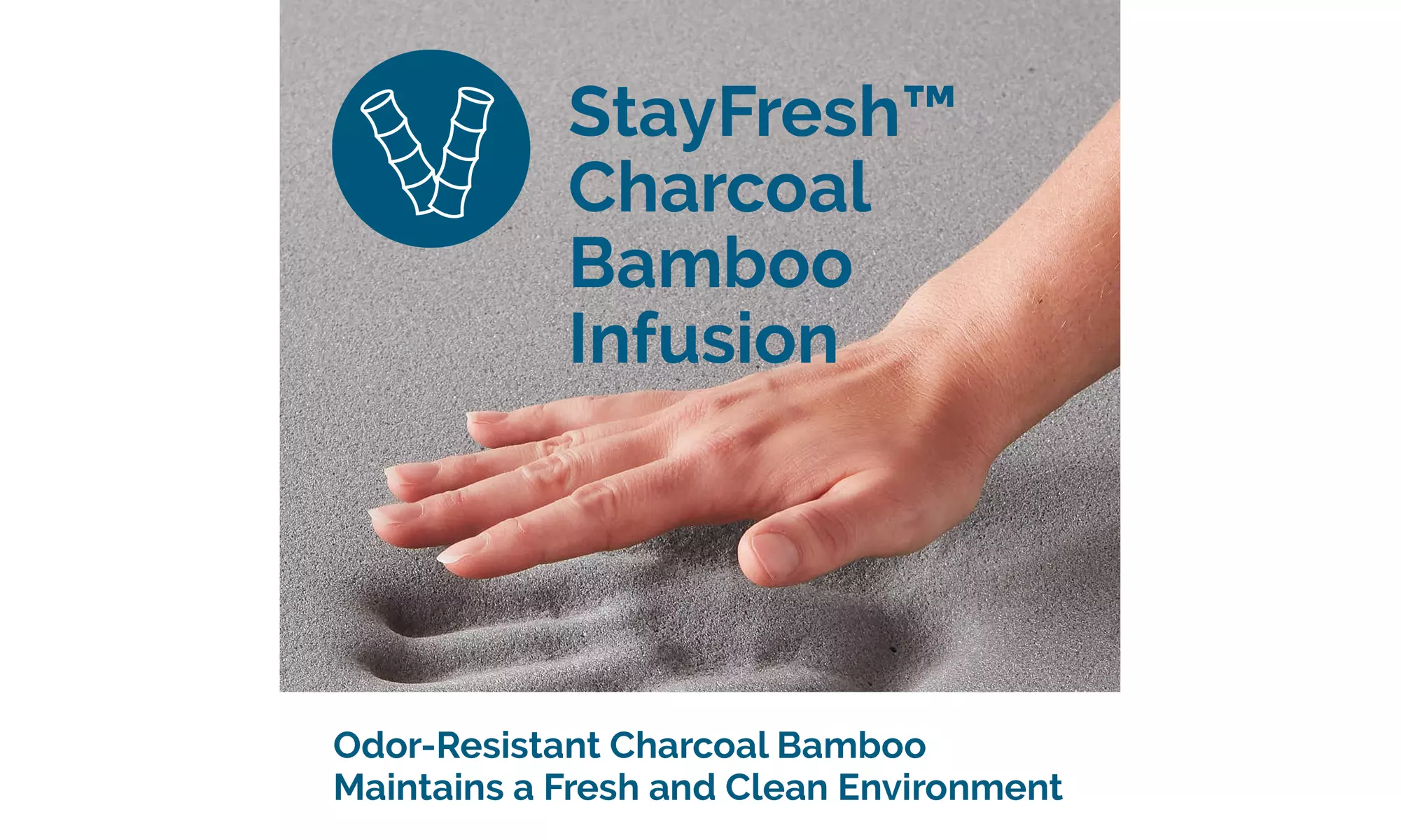 Lucid Comfort Collection Bamboo Charcoal Memory Foam Toppers - Primary Image