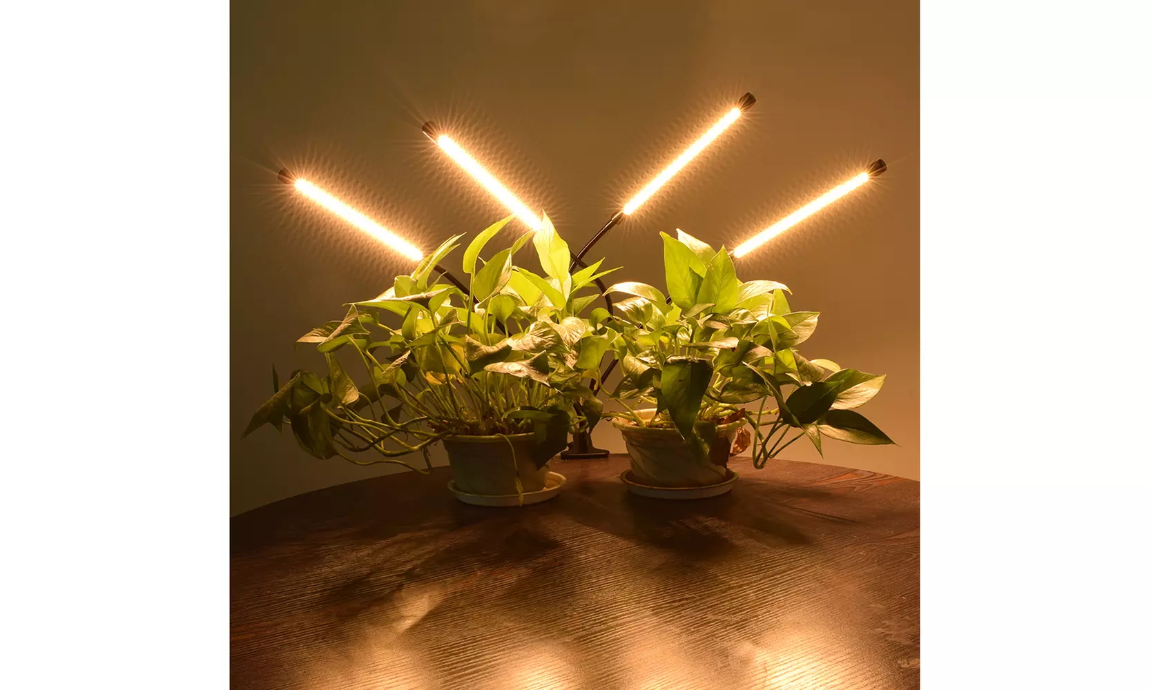 3/4-head Flat Clip Corn Plant Light Full Spectrum Warm White - Primary Image