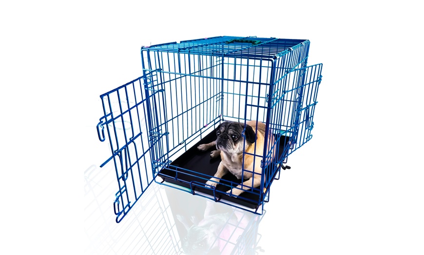 colored dog crates